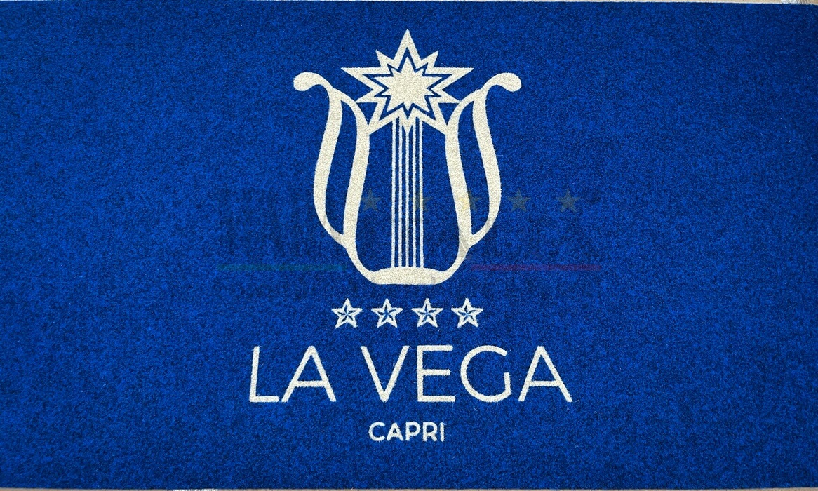Vendita Zerbino Sintetico Hotel La Vega Vendita Zerbino Sintetico Hotel La Vega