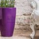 Vendita vaso interno esterno life tondo